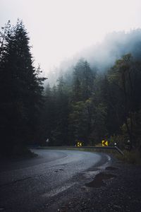 Preview wallpaper road, forest, fog, turn, asphalt, trees