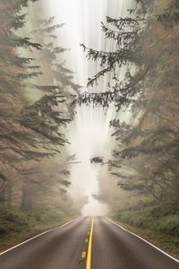 Preview wallpaper road, forest, fog, blur
