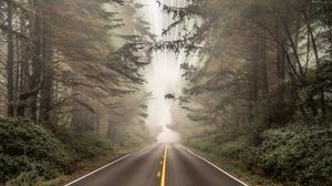 Preview wallpaper road, forest, fog, blur