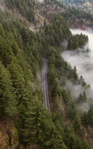 Preview wallpaper road, forest, fog, trees, aerial view