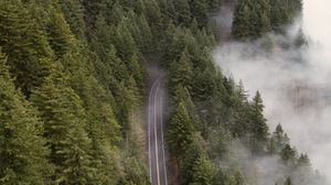 Preview wallpaper road, forest, fog, trees, aerial view