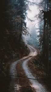 Preview wallpaper road, forest, fog, pines, trees