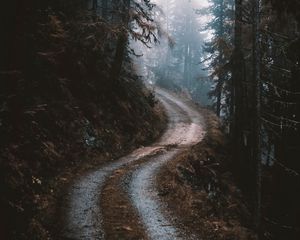 Preview wallpaper road, forest, fog, pines, trees