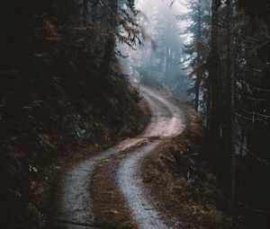 Preview wallpaper road, forest, fog, pines, trees