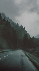 Preview wallpaper road, forest, fog, dark