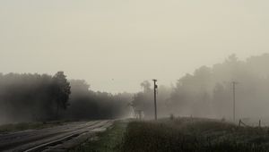 Preview wallpaper road, forest, grass, fog, trees, pillar