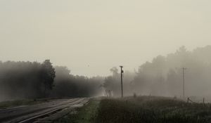 Preview wallpaper road, forest, grass, fog, trees, pillar