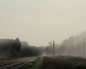 Preview wallpaper road, forest, grass, fog, trees, pillar