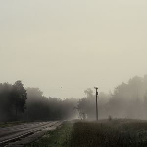 Preview wallpaper road, forest, grass, fog, trees, pillar