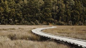 Preview wallpaper road, forest, grass, turn