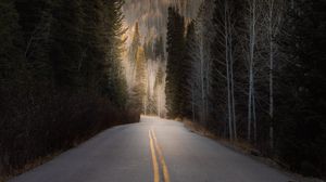 Preview wallpaper road, forest, hill, trees, asphalt
