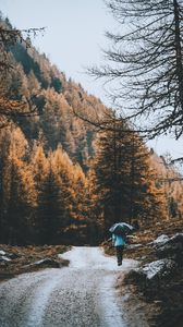 Preview wallpaper road, forest, man, umbrella, rain