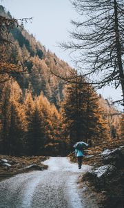 Preview wallpaper road, forest, man, umbrella, rain