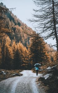 Preview wallpaper road, forest, man, umbrella, rain