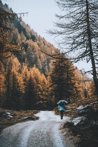 Preview wallpaper road, forest, man, umbrella, rain