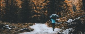 Preview wallpaper road, forest, man, umbrella, rain