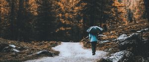 Preview wallpaper road, forest, man, umbrella, rain