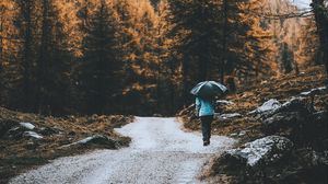 Preview wallpaper road, forest, man, umbrella, rain