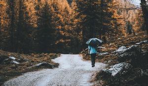 Preview wallpaper road, forest, man, umbrella, rain