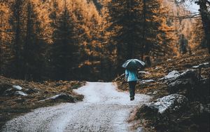 Preview wallpaper road, forest, man, umbrella, rain