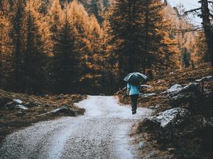 Preview wallpaper road, forest, man, umbrella, rain