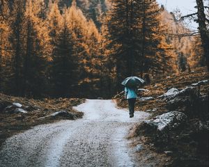 Preview wallpaper road, forest, man, umbrella, rain