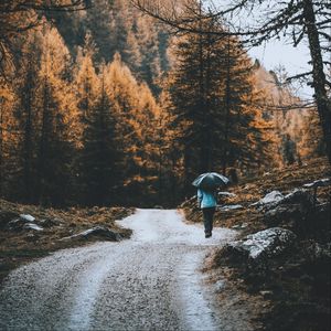 Preview wallpaper road, forest, man, umbrella, rain