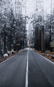 Preview wallpaper road, forest, marking, autumn, winter, hoarfrost