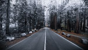 Preview wallpaper road, forest, marking, autumn, winter, hoarfrost