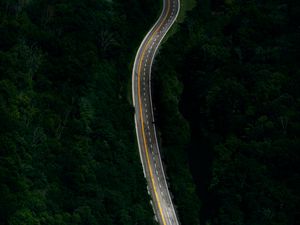 Preview wallpaper road, forest, marking, aerial view