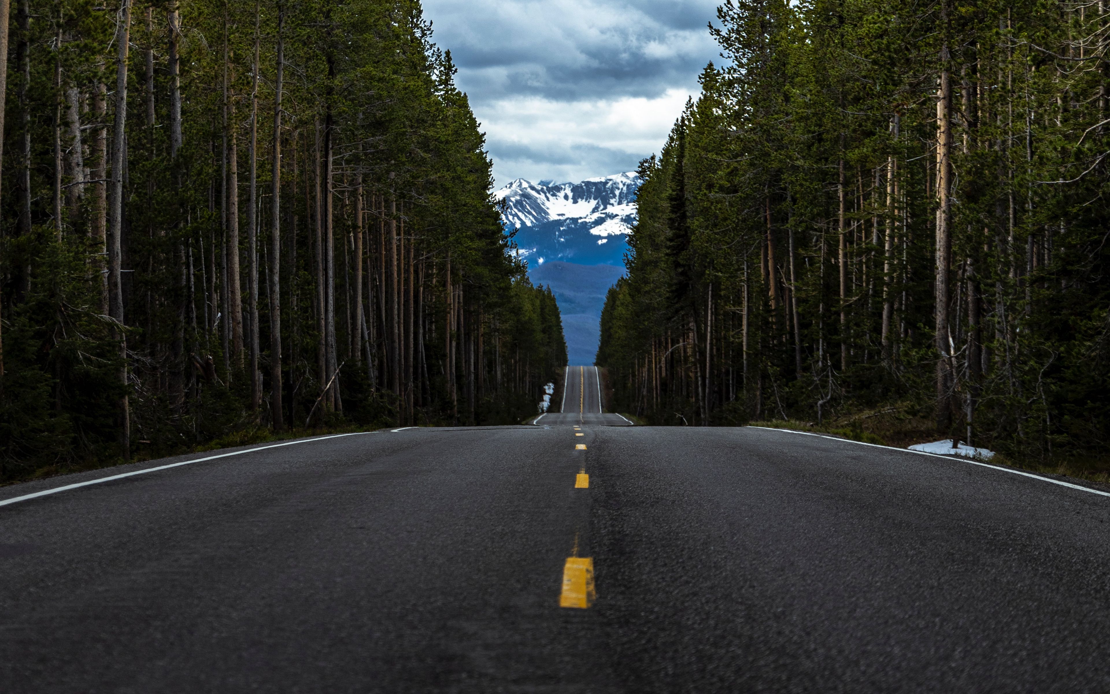 Road тема. Дорога в лесу. Красивые дороги. Фон дорога. Дорога лес горы.