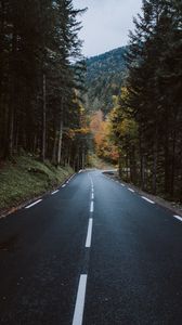 Preview wallpaper road, forest, mountain, turn, nature