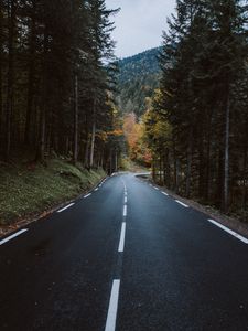 Preview wallpaper road, forest, mountain, turn, nature