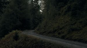 Preview wallpaper road, forest, mountain, nature, landscape