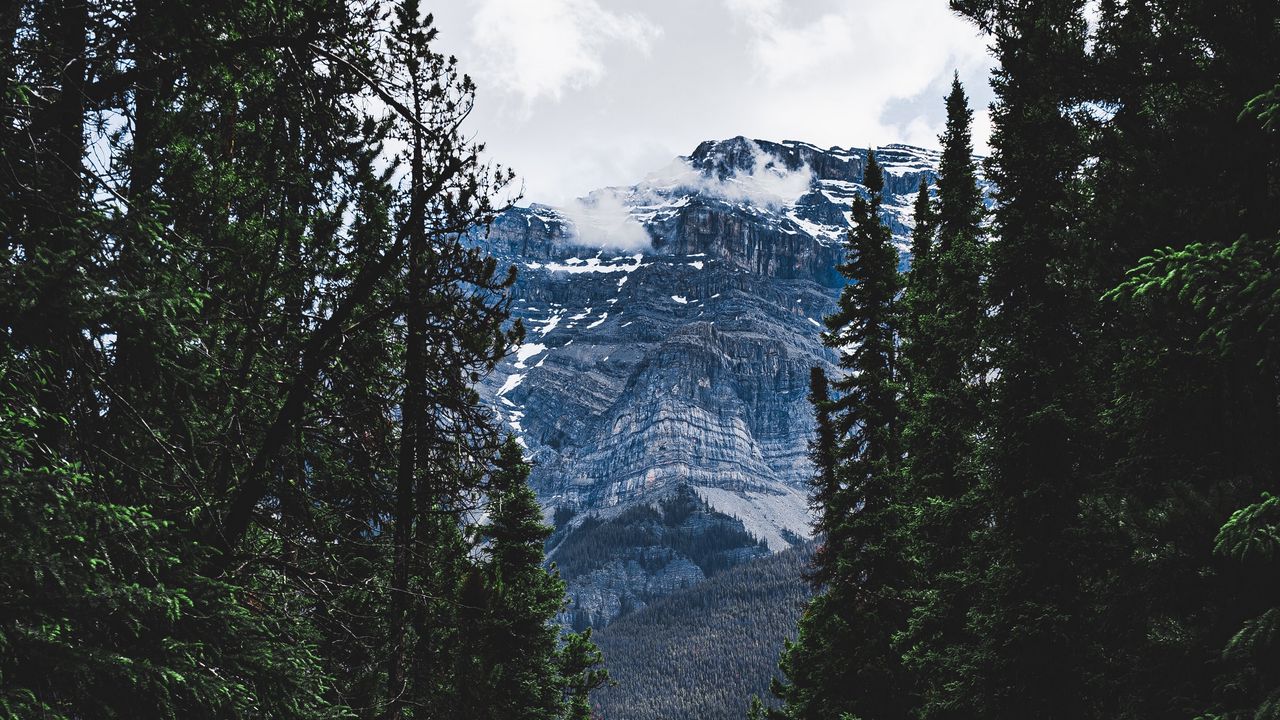 Wallpaper road, forest, mountains, trees, snow, clouds
