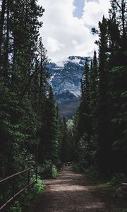Preview wallpaper road, forest, mountains, trees, snow, clouds