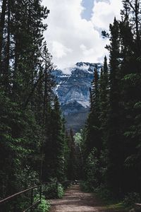 Preview wallpaper road, forest, mountains, trees, snow, clouds