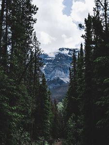 Preview wallpaper road, forest, mountains, trees, snow, clouds