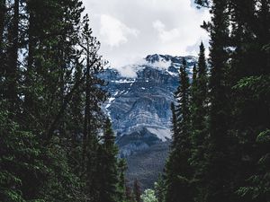Preview wallpaper road, forest, mountains, trees, snow, clouds