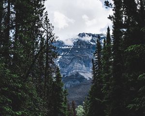 Preview wallpaper road, forest, mountains, trees, snow, clouds