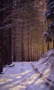 Preview wallpaper road, forest, nature, trees, snow, winter