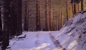 Preview wallpaper road, forest, nature, trees, snow, winter