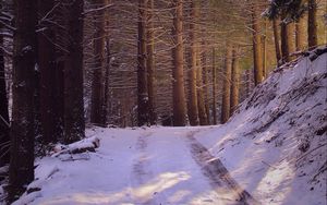 Preview wallpaper road, forest, nature, trees, snow, winter