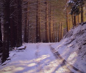 Preview wallpaper road, forest, nature, trees, snow, winter