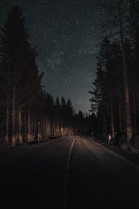 Preview wallpaper road, forest, night, starry sky, turn