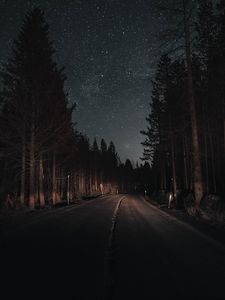 Preview wallpaper road, forest, night, starry sky, turn