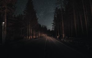 Preview wallpaper road, forest, night, starry sky, turn