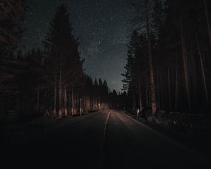 Preview wallpaper road, forest, night, starry sky, turn