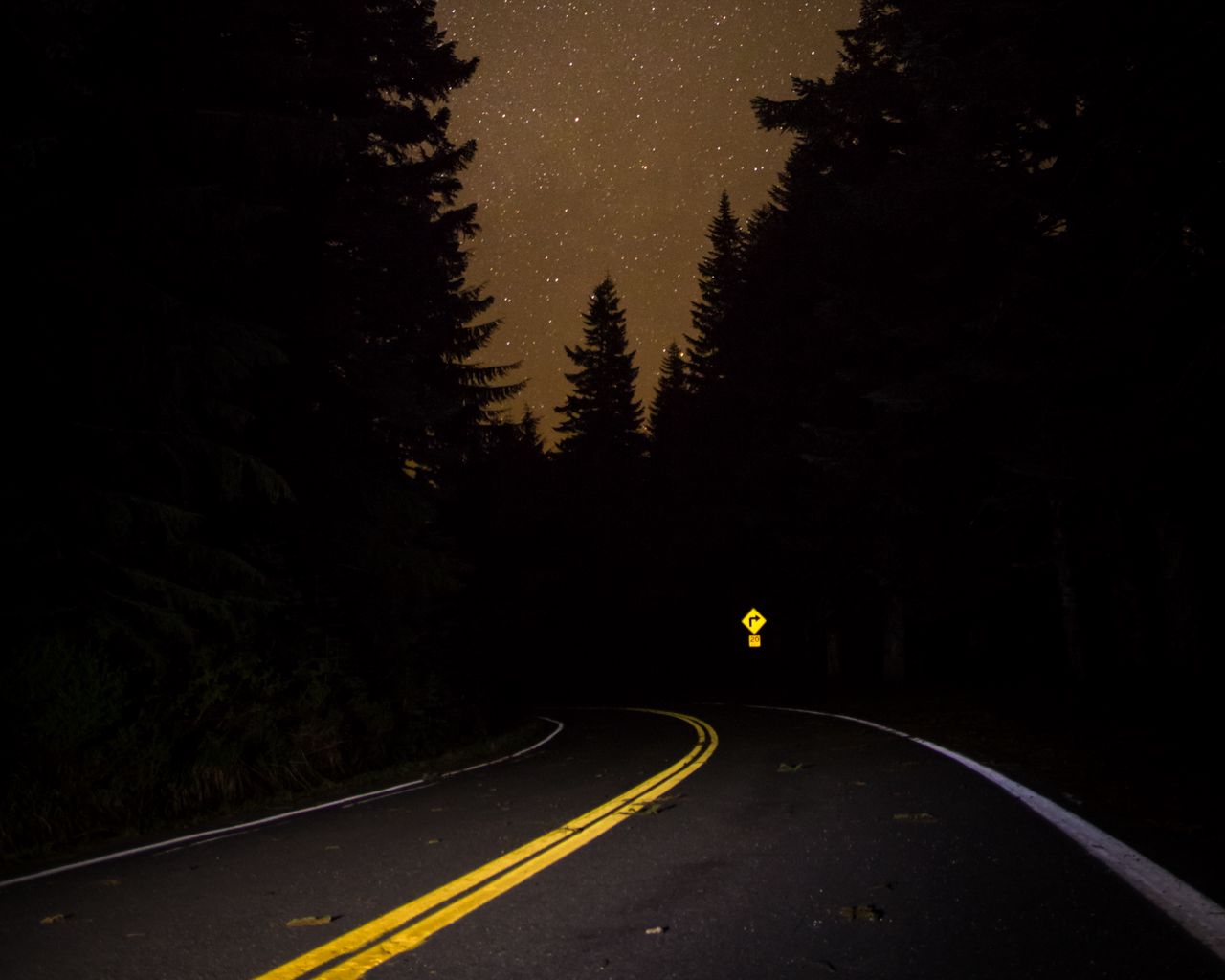 Download wallpaper 1280x1024 road, forest, night, starry sky standard 5:4 hd  background