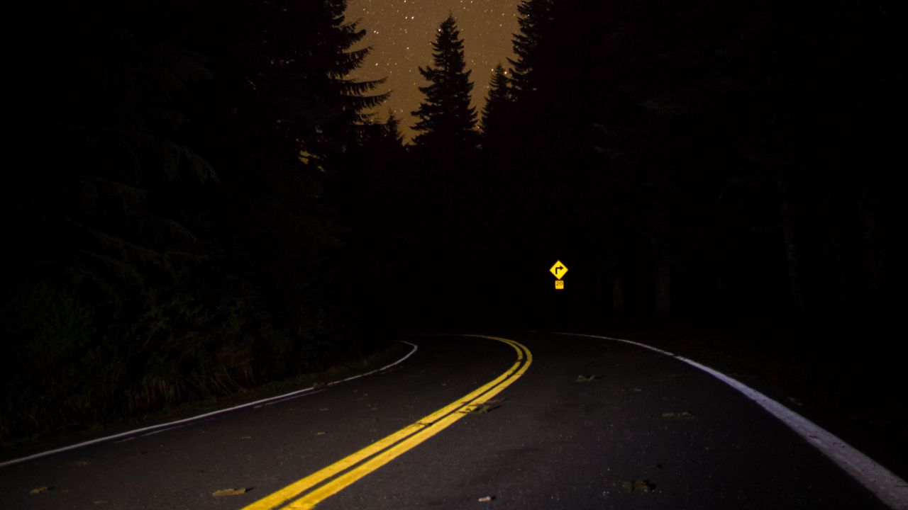 Wallpaper road, forest, night, starry sky